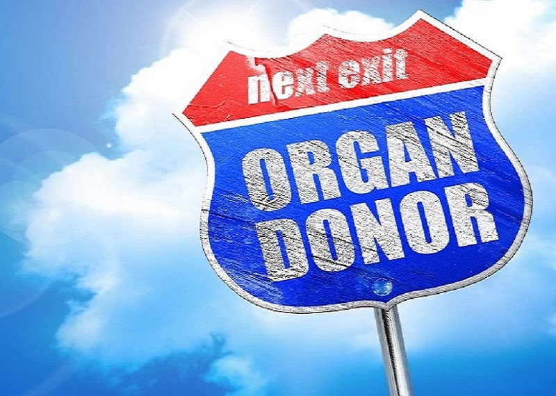 a close-up of a sign. Containing the words: next exit organ donor