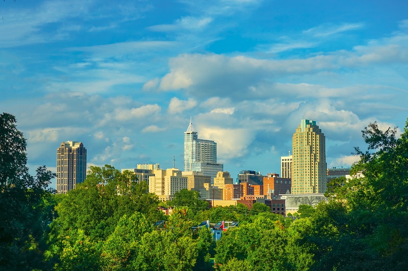 a city skyline with trees.