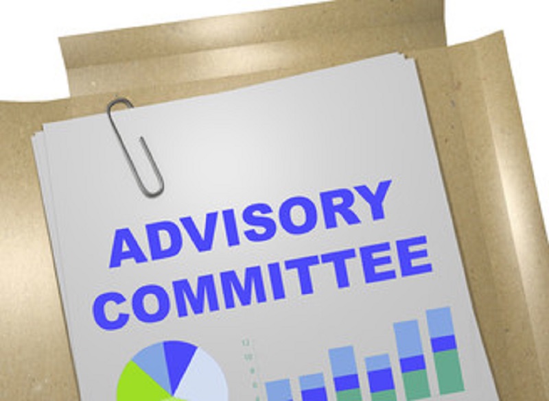 ADVISORY COMMITTEE on a paper