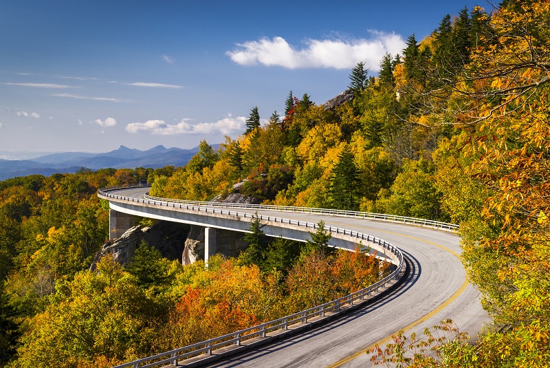 a road with Blue Ridge Parkway over a hill with trees.